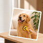 Dog Hair Remover Brush for Long Hair Grooming and Bathing