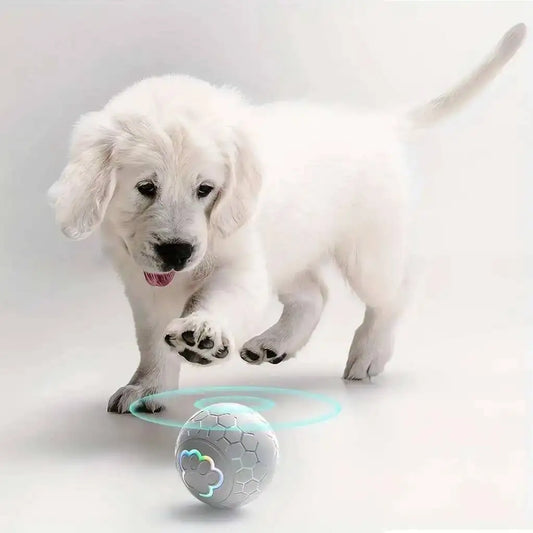 Interactive RGB Dog Toy Ball — Auto-Rolling & USB Charged