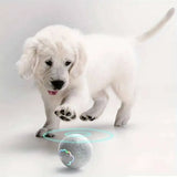 Smart Interactive Dog Toy Ball with USB Rolling RGB Lights
