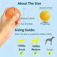 Smart Interactive Dog Toy Ball with USB Rolling RGB Lights
