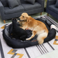 XXL XL L Orthopedic Sofa Dog Bed Waterproof Pet Mat Kennel Washable Pet Puppy Basket Cushion Removable Fr Small Medium Large Dog