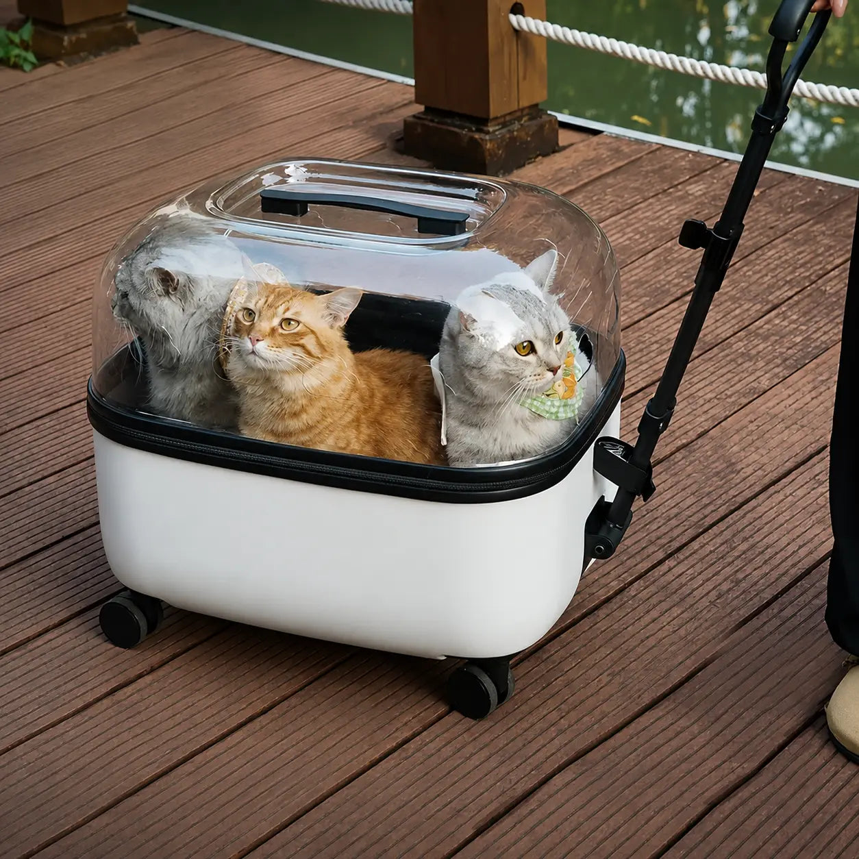 Panoramic Pet Carrier with 360-Degree Visibility for Travel
