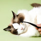 Pet Eye Tear Cleaning Brush for Dogs and Cats