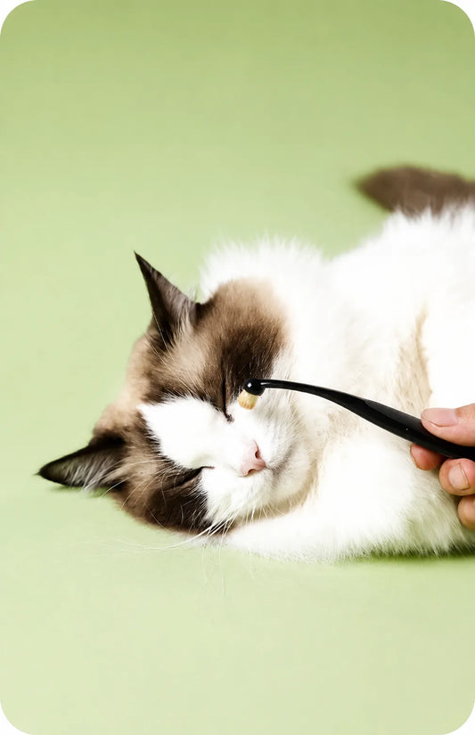 Pet Eye Tear Cleaning Brush for Dogs and Cats