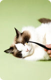 Pet Eye Tear Cleaning Brush for Dogs and Cats