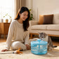 1800mL USB Pet Water Fountain with Automatic Filter System